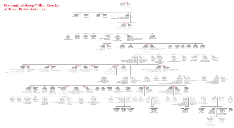 Typical descendant chart